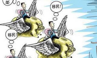 一虎一席谈最新 一虎一席谈最新