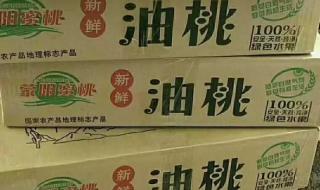 中通快递号查询 中通快递号查询