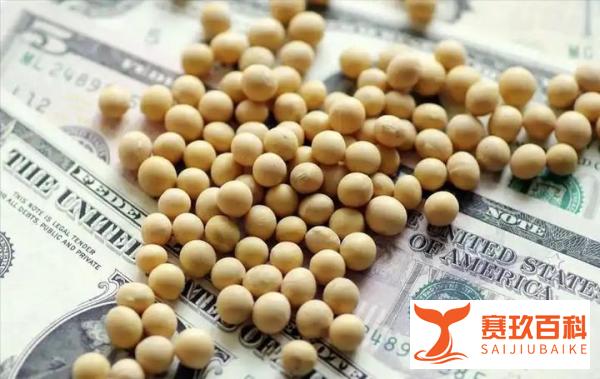 豆油行情 豆油行情