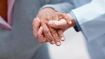 31省新增本土28例 31省新增本土22例