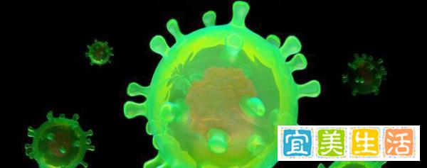 31省新增本土28例 31省份新增本土