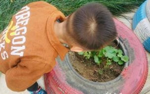 幼儿园学习笔记200篇 幼儿园小班教师教养教育笔记大全(五篇)